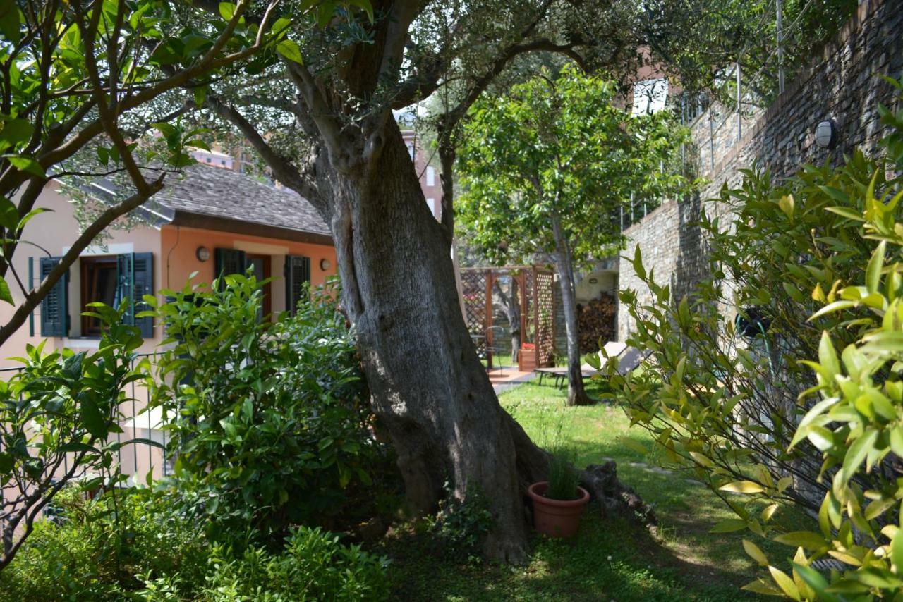 Ca Da Munta Bed And Breakfast Аренцано Екстериор снимка